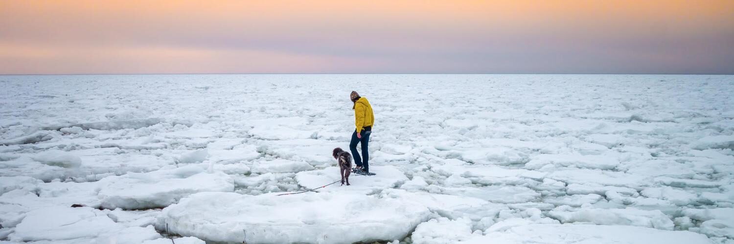 A person and a dog standing on ice floes on the ocean at sunset.